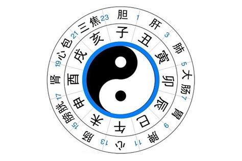 辰卯|十二辰（古天文概念）